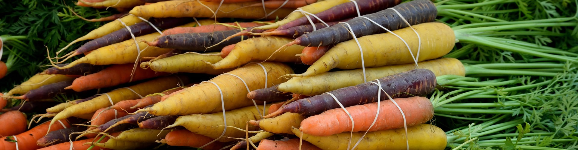 root vegetables